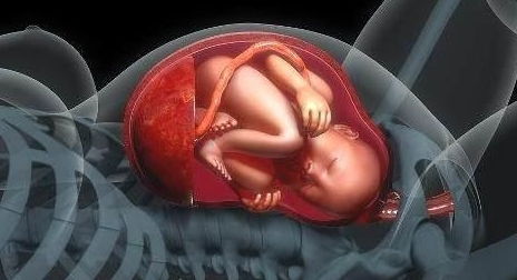 原创胎儿那么大，产道那么小，是怎么顺利生下了的呢？