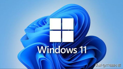 AMD官方建议 不要升级Windows 11