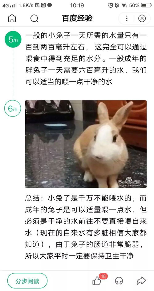 我懵了 我朋友说给兔子喝水会死 有证据