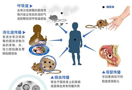 这个周末说点儿关于疫苗接种的那些事