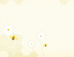 蜜蜂背景PPT模板 