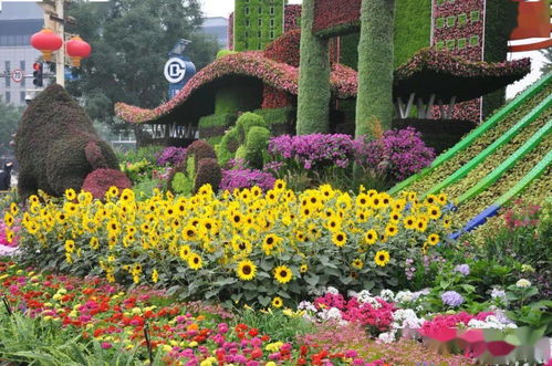 花团锦簇庆百年 细品北京长安街10组主题花坛
