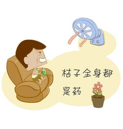 橘子全身都是宝,就看你会不会用