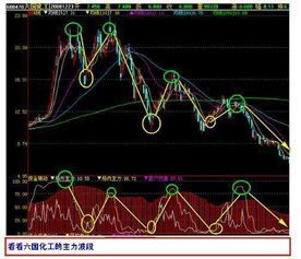 中国的金矿股票有哪些