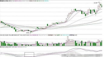 MACD抓涨停绝技：MACD指标使用技巧有哪些