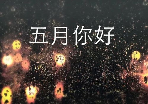 一个月第一天励志—月头的第一天发朋友圈的句子？