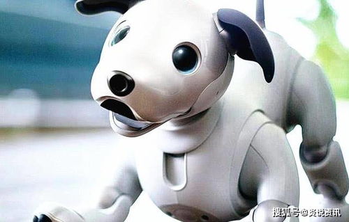 索尼新型智能机器狗,玩过的人都会怀念童年,难道真会上瘾吗