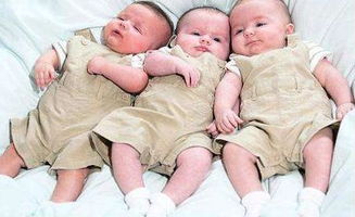 终于 卸货 三胞胎,宝宝的性别惹来大家的争议