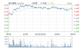 分析下 新兴铸管。