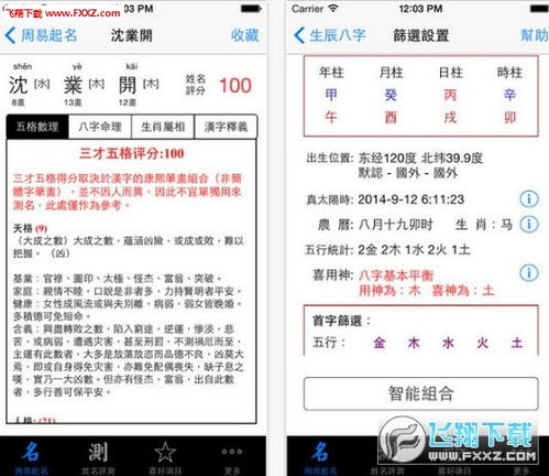 算命先生起名网app官方正式版下载 算命先生起名网app安卓版1.0下载 飞翔下载 