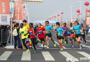 罗湖跑马拉松的地方有哪些,深圳国际马拉松2019报名时间+报名费用+比赛路线