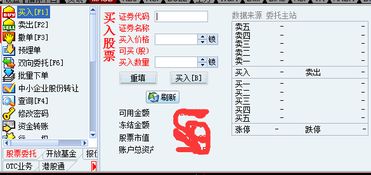 网上购新股怎么看申购号（东方证券网上交易系统）