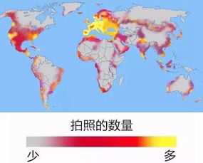 涨知识 世界智商平均分布图,中国人亮了 