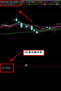 5天换手率和5组换手率是什么意思