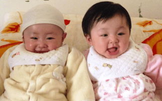 生育的秘密 男孩女孩双胞龙凤胎, 各种胚胎发育到底有什么不同