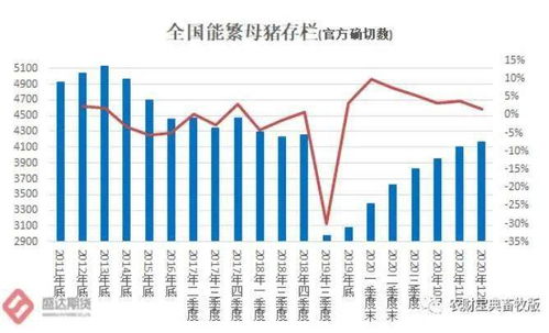 为什么经济数据连年增长，股市却熊冠全球？