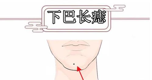 身上5颗 黄金 痣,越黑越好,不缺钱不愁钱,个个皇帝命 眉毛 