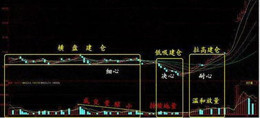 股票上的加点仓、建仓等等一系例的术语是什么意思