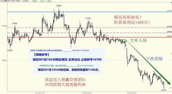 股票盈利预测10APS 0.5、11EPS 0.7、12EPS 1.0是什么意思