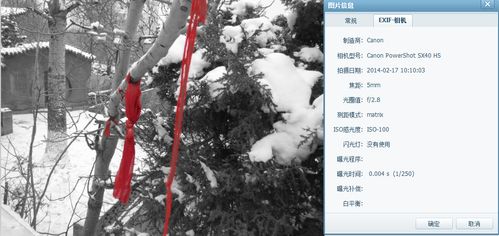 下雪看见红色格外的温暖