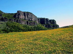 垣曲森林简介范文;垣曲历山旅游最佳时间？