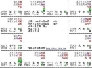 紫薇命盘排盘详解与分析(紫微斗数看配偶超准)