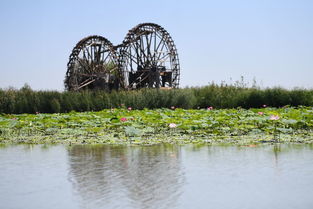 襄阳荷花湖生态旅游园