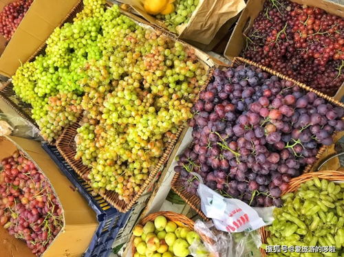 在新疆的水果摊,记不住葡萄名,认不出哈密瓜