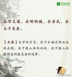 学习的经典名言