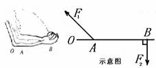 能量的转化和转移具有