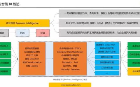 BI(商业智能)应该怎样理解呢？