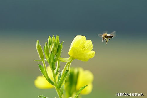 寓意深刻的人生感悟,现实经典,句句入心