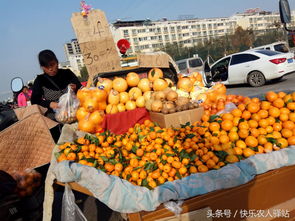 农村人月薪3000元,辞职去摆摊卖菜,靠谱吗 