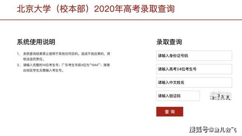 各地高招录取工作密集开启,如何确认自己是否被高校录取 