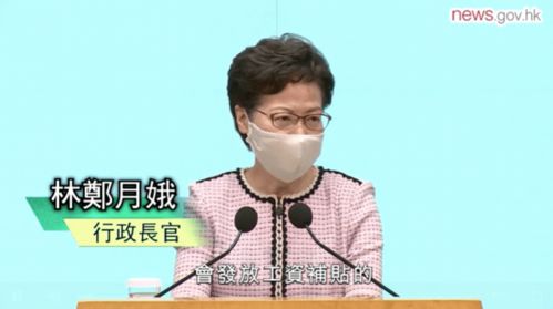 香港自雇人士可以获得签证吗(去香港务工签证一年要多少费用)