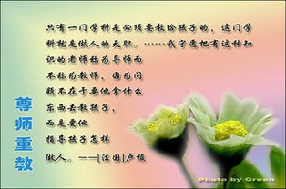 关于教师节的名言大全 