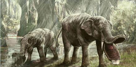 人类从没有害怕过的动物 考古学家 这种动物,差点吃光人类祖先