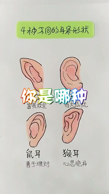 4种不同的耳朵形状,你是哪一种,说说吧 