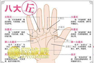 掌丘决定你的性格,你了解多少