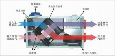 新风系统十问 不可不知的新风系统基础知识 