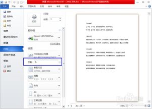 Word文档打印时怎样设置打印页数 