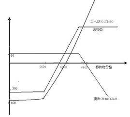 为什么不选择牛市套利呢？