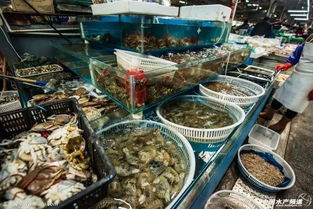 爱吃鱼虾的速看 广东这些海鲜被检出毒禁药,严重还会...
