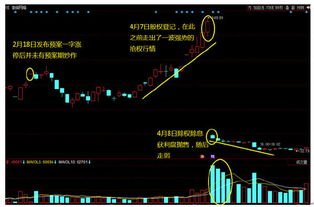 填权日前后股价怎样变动的