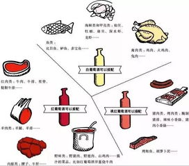 下列哪种肉类属于我们通常所说的 ldquo 白肉 rdquo 鸭肉还是羊肉(图3)