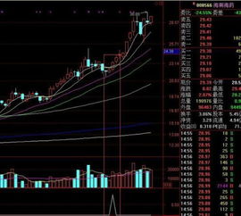 阙广敏放量回踩均线选股参数如何设定