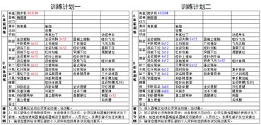 健身大侠,这两个计划哪个好 附详细资料,好的加分 谢谢 