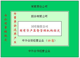 国有独资公司董事长、高管是否能任职其全职子公司董事？