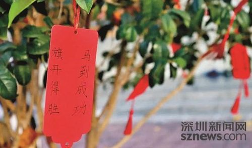 考生轻装上阵应考 学弟学妹送上祝福