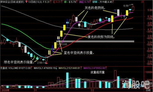 600311荣华实业这股票已经涨停好多天了？能否出手了？